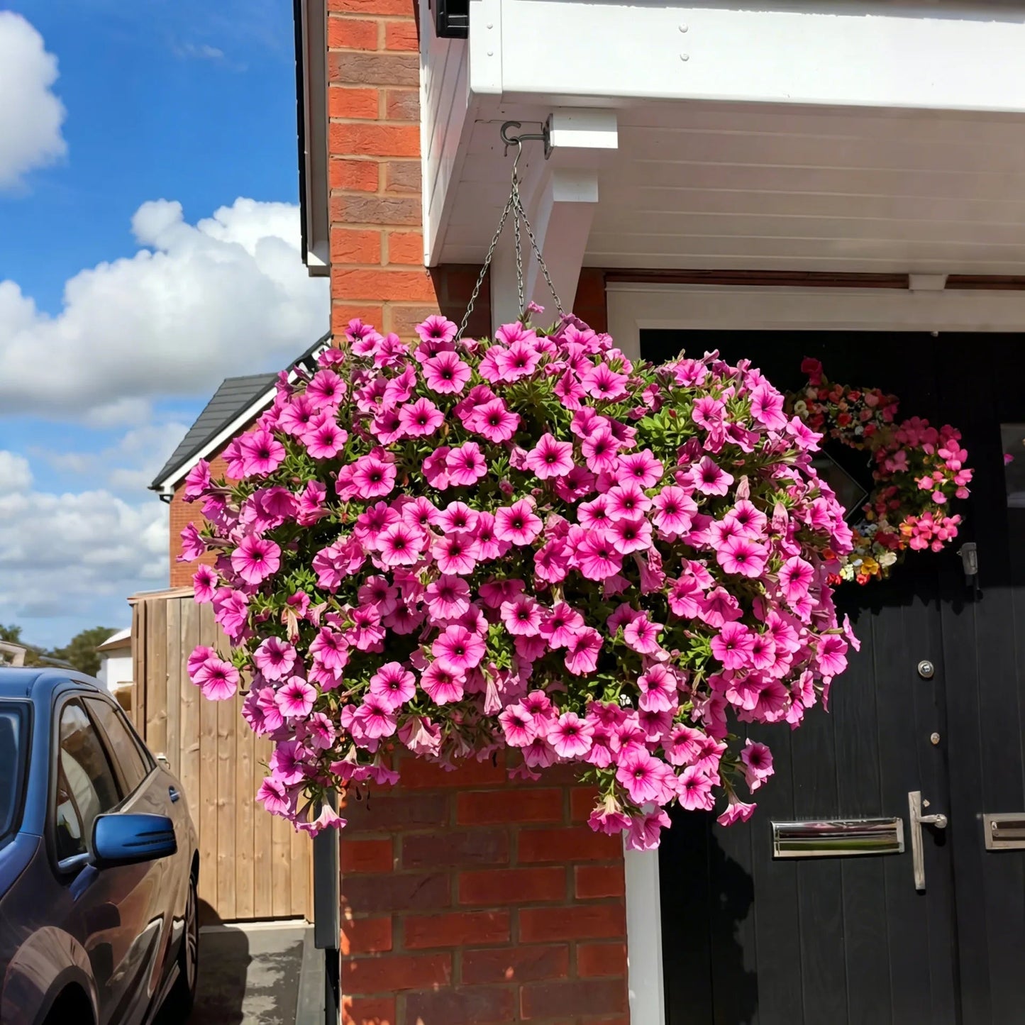 ✨Last Day 60% OFF🌸🌼UV Resistant Artificial Petunias Flowers