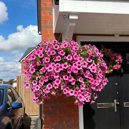 ✨Last Day 60% OFF🌸🌼UV Resistant Artificial Petunias Flowers
