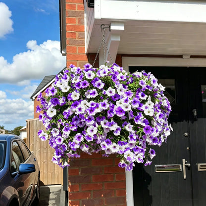 ✨Last Day 60% OFF🌸🌼UV Resistant Artificial Petunias Flowers