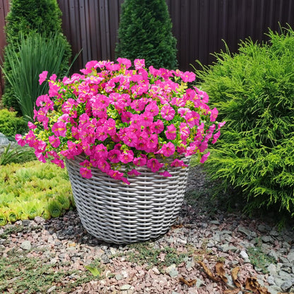 ✨Last Day 60% OFF🌸🌼UV Resistant Artificial Petunias Flowers